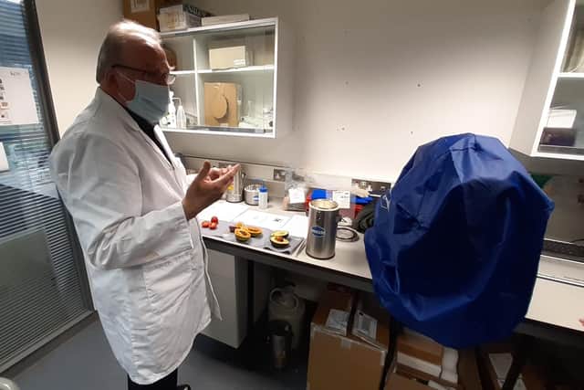 Professor Hugh Pritchard, senior reseach leader, Comparative Seed Biology. Picture: Lawrence Smith.