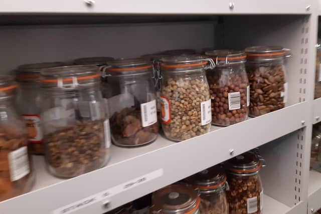 Seeds being stored at -20c. Picture: Lawrence Smith.