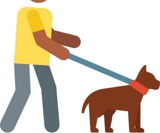 Hailsham Town Council has relaunched a campaign to raise awareness of responsible dog-walking at the council’s parks and public open spaces, following reports of a dog attack on a young boy near Roebuck Park in Hellingly last month. SUS-220702-144107001