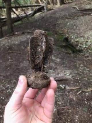Several World War Two mortars were found in the woods at Kingley Vale. Picture courtesy of Sefton Jones and Karl Venus. SUS-220802-140555001