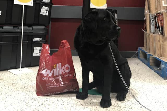 Home and garden retailer Wilko is welcoming pets in-store for the first time at 248 of its locations nationwide from February 7