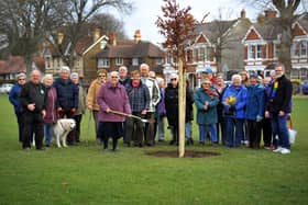 Marina McCallum planting Southwick and Fishersgate Horticultural Society's tree on Southwick Green for the Queen's Platinum Jubilee. Picture: Steve Robards SR2202082