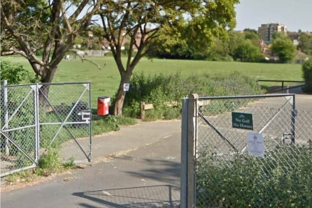 Greenleas Park in Hangleton where residents say the dog poo bins are always overflowing