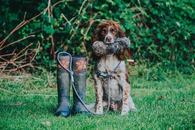 ADW Pet Supplies specialise in bespoke handmade dog leads from their popular pub lead to an all in one martingale lead and their new sell out biothane field and trial leads