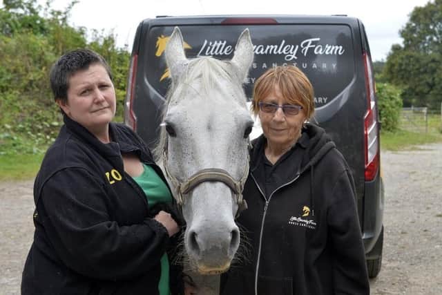Little Bramley Farm Horse Sanctuary
