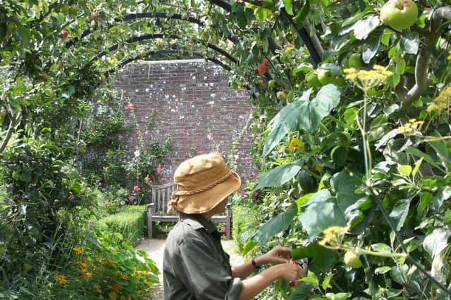 Izzy McKinley, senior organic kitchen gardener, in the apple arches