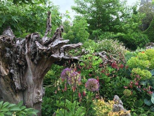 The Stumpery Garden at Arundel Castle