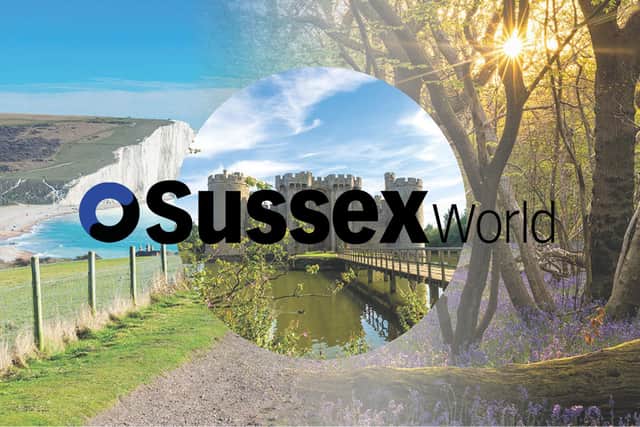 Sussexworld Daily Bulletin