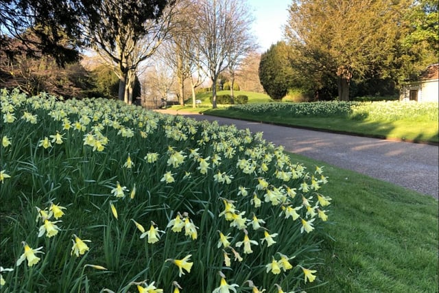 The National Trust is running an Easter Adventures in Nature trail at Uppark from April 9 to 24. Travel through different landscapes, with sensory trail points. Pick out woodland smells or sounds, hear bees buzzing and discover some quirky bee facts. Normal admission plus £3 per trail, includes a chocolate Rainforest Alliance Easter egg.