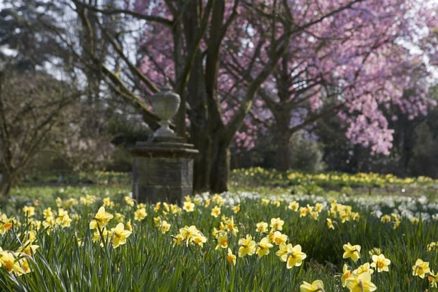 The National Trust is running an Easter Adventures in Nature trail at Nymans from April 9 to 24. Magnolias are blooming and birds are busy building their nests. Listen to the robins, wrens and blackbirds as the trail leads you through hidden doorways and the Wall Garden. Try out fun challenges such as hiding like a mouse, finding your favourite flower and tuning into the natural world all around you. Normal admission plus £3 per trail, includes a chocolate Rainforest Alliance Easter egg.