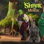 A tremendous trio – Shrek, Donkey and Fiona