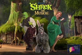 A tremendous trio – Shrek, Donkey and Fiona