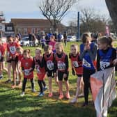 HY and Hastings AC youngsters are among those on the start line