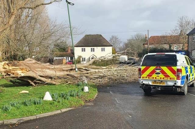 Chichester Police have been called to a fallen tree in Tangmere. SUS-220218-112120001