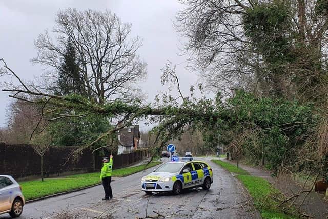 A fallen tree in Eastbourne due to Storm Eunice. Picture from Sussex Police SUS-220218-124203001