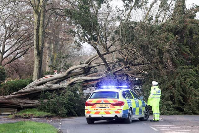 Storm Eunice caused havoc across Sussex. Picture: Eddie Mitchell
