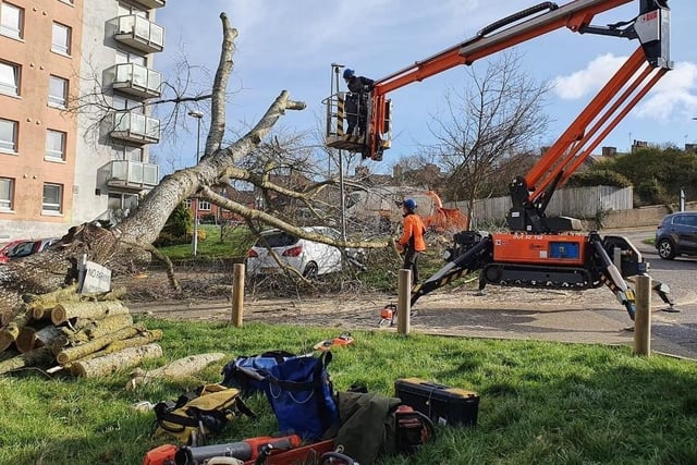 Removing the fallen tree in Hollington. Picture by Phil Scott SUS-220220-153326001