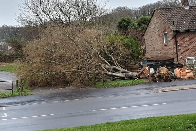 Another tree down in the Hollington area. Pic by Phil Scott SUS-220220-153429001
