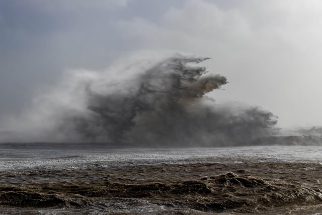 Sea dragon wave at hastings beach by Jude Hutchings SUS-220221-094230001