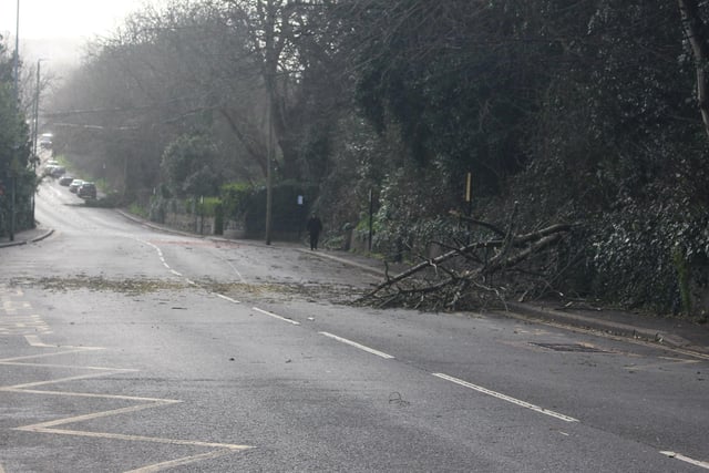 A Tree down in Old London Road. by Kevin Boorman SUS-220221-100656001