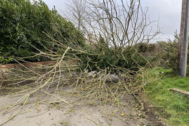The community in a South Downs village has been praised after coming to the rescue after a tree collapsed during Storm Eunice.
