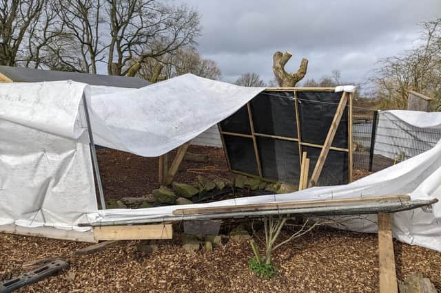 The animal centre said a large tree crashed down and missed the shed with ducks and turkeys by a few feet, but instead smashed the fence surrounding the shed