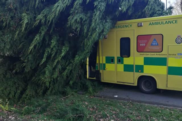 A tree fell onto an ambulance in Crawley Down at about 8.20am on Saturday (February 19). Picture: PC Glen McArthur/Sussex Police.