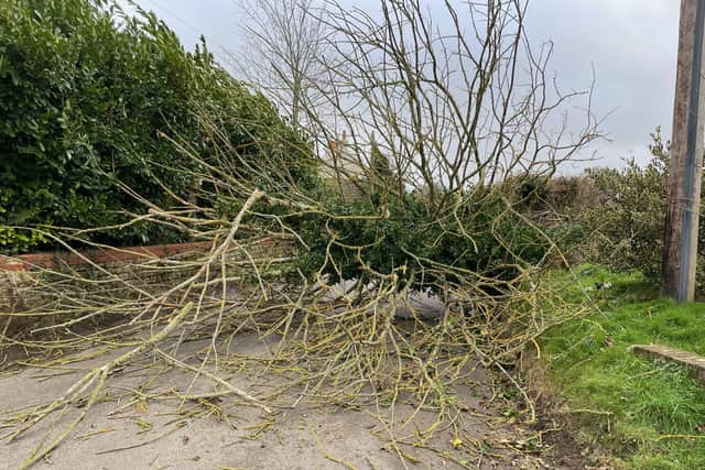 Storm Eunice brought down a tree blocking the road in Haben. Pic: Anne Connor SUS-220222-101307001
