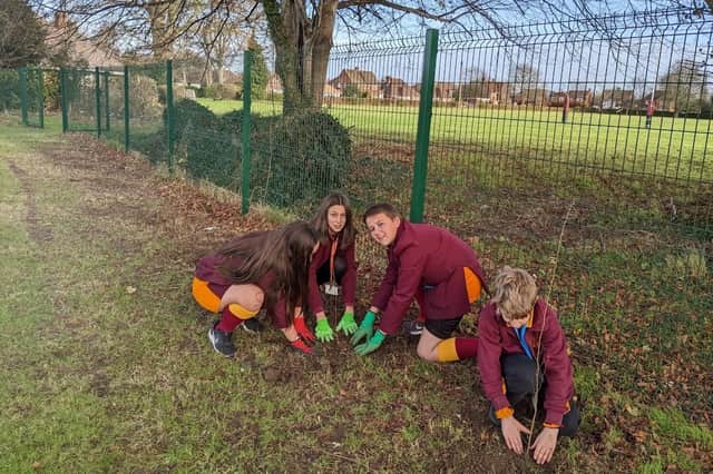 Pupils at Bishop Luffa School planting their free trees