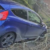 The police said multiple members of the public offered to help, one of whom was a tree surgeon who had his chainsaw handy.