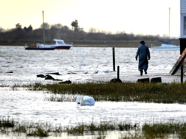 Bosham Quay. Picture: Steve Robards
