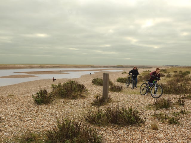 Pagham beach.