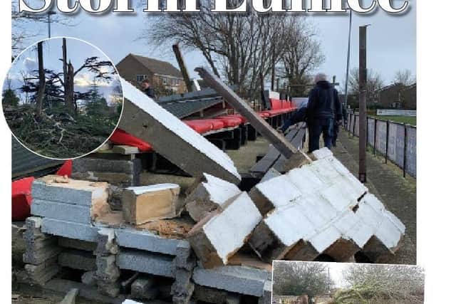The weekend storms – a whole family of them judging by the names they are now given – wrought some of the worst devastation we have seen in Chichester for many years.