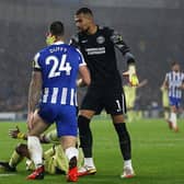 Rob Sanchez and Shane Duffy had a heated exchange during the first half against Burnley at the Amex Stadium last week