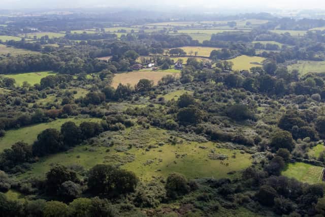 An aerial photograph of the rewilded habitat from the drone that SOFLAG used to make the film. Picture: SOFLAG.