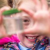 RSPB Pulborough Brooks nature reserve invite schools to discover the nature blooming on site this spring and summer