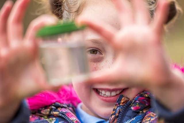 RSPB Pulborough Brooks nature reserve invite schools to discover the nature blooming on site this spring and summer