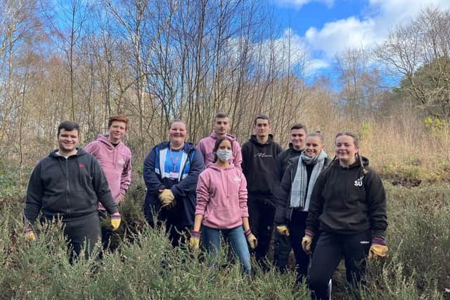 Crawley College students help restore Tilgate Park's heathland