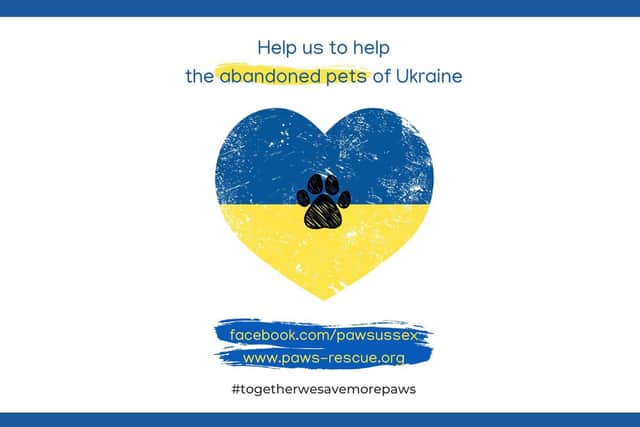 Animal rescue Paws and Whiskers Sussex is appealing for fosters and donations to help rescue abandoned pets in Ukraine.