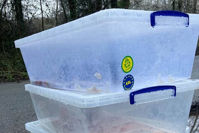 A member of the public contacted the RSPCA after spotting the stack of storage boxes beside Partridge Lane, Charlwood, as she drove to work on Tuesday morning (March 1)
