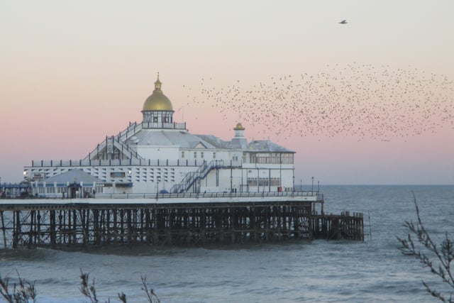 Philipa Coughlan sent us this lovely picture of the starling murmuration at Eastbourne pier at sunset. "After this dreadful week of news the simple things like our stunning seafront seem at least undisturbed... how lucky and thankful we should be to live here at this time," she said. SUS-220203-141722001