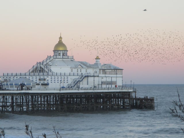 Philipa Coughlan sent us this lovely picture of the starling murmuration at Eastbourne pier at sunset. "After this dreadful week of news the simple things like our stunning seafront seem at least undisturbed... how lucky and thankful we should be to live here at this time," she said. SUS-220203-141722001