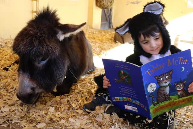 Dylan Cambell, four, wore his cat costume to read Tabby McTat to Coco the donkey in the Drusillas farmyard.
