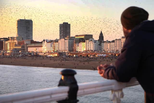 Brighton's starling murmurations