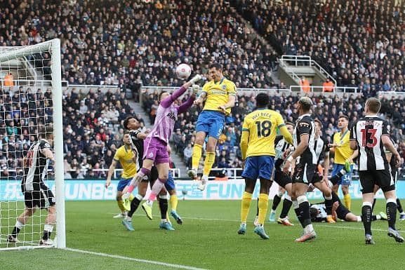 Lewis Dunk thumps home a second half header in a 2-1 loss at Newcastle