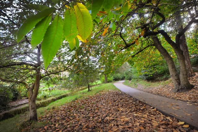 Alexandra Park in Hastings pictured in autumn