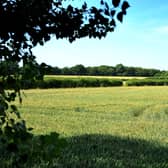 Views near Burgess Hill where thousands of new homes are due to be built as part of the Northern Arc development