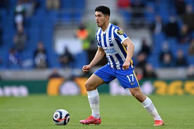 Brighton and Hove Albion midfielder Steven Alzate was praised for his display during the 2-1 loss at Newcastle United
