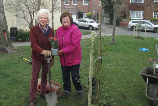 West Sussex Deputy Lieutenant Margaret Bamford with Worthing councillor Hazel Thorpe, planting trees in Tarring