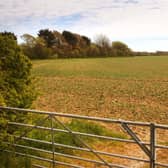 Sussex greenfield land under threat of development